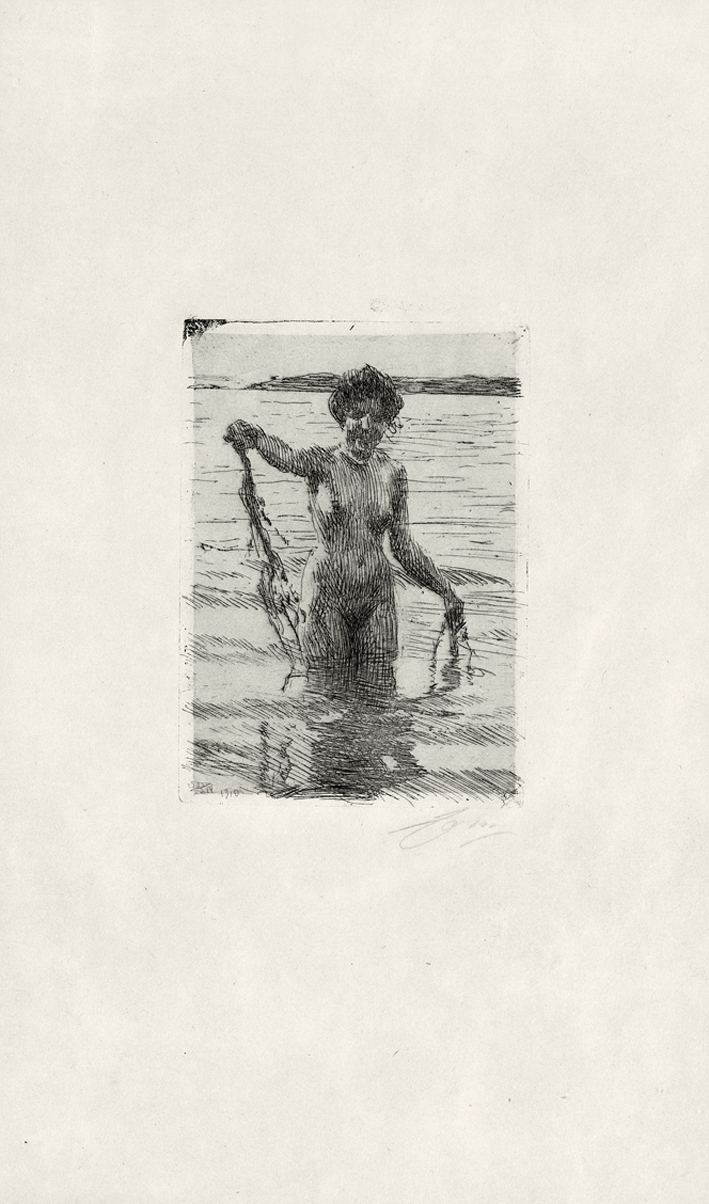  安德斯·莱奥纳德·佐恩 Anders Leonard Zorn —— 佐恩(素描) (87)